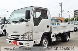 isuzu elf-truck 2019 GOO_NET_EXCHANGE_0208330A30250609W001