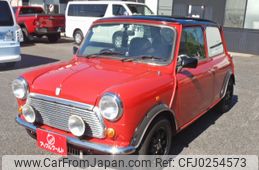 rover mini 1996 24941902