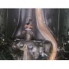 subaru outback 2016 -SUBARU--Legacy OutBack BS9-021560---SUBARU--Legacy OutBack BS9-021560- image 14