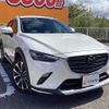 mazda cx-3 2019 quick_quick_DKEFW_DKEFW-208713 image 14