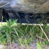 nissan note 2007 CFJ1647569 image 12