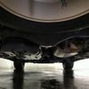 toyota land-cruiser-prado 2018 -TOYOTA--Land Cruiser Prado CBA-TRJ150W--TRJ150-0087512---TOYOTA--Land Cruiser Prado CBA-TRJ150W--TRJ150-0087512- image 7