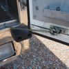 mitsubishi-fuso super-great 2013 GOO_NET_EXCHANGE_0403477A30250529W005 image 28
