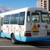 toyota coaster 2007 CFJ7012497 image 2