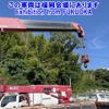 isuzu forward 2010 CFJ1736208 image 20