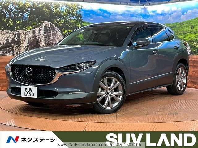 mazda cx-3 2019 quick_quick_DM8P_DM8P-100183 image 1