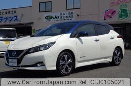 nissan leaf 2019 GOO_JP_700080015330240812002