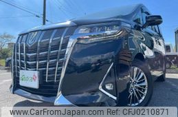 toyota alphard 2020 -TOYOTA 【品川 358ﾏ1005】--Alphard DAA-AYH30W--AYH30-0097329---TOYOTA 【品川 358ﾏ1005】--Alphard DAA-AYH30W--AYH30-0097329-