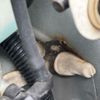honda n-wgn 2013 CFJ1553501 image 27