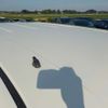 nissan cube 2011 -NISSAN--Cube DBA-Z12--Z12-172228---NISSAN--Cube DBA-Z12--Z12-172228- image 35