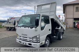 isuzu elf-truck 2010 GOO_NET_EXCHANGE_0840389A30241029W001