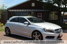 mercedes-benz a-class 2014 quick_quick_DBA-176044_WDB1760442J189410