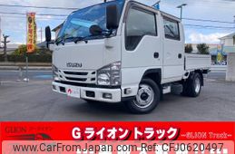 isuzu elf-truck 2019 GOO_NET_EXCHANGE_0730189A30250107W001