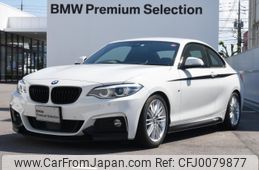 bmw 2-series 2019 -BMW--BMW 2 Series DBA-2F20--WBA2H52050VD46706---BMW--BMW 2 Series DBA-2F20--WBA2H52050VD46706-