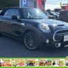 mini mini-others 2017 CFJ1643483 image 20