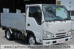 isuzu elf-truck 2019 GOO_NET_EXCHANGE_0400080A30240804W003