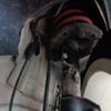 fiat grande-punto 2009 -FIAT--Fiat Grande Punto 199143--00545485---FIAT--Fiat Grande Punto 199143--00545485- image 8