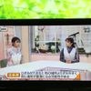 suzuki xbee 2018 CFJ1514833 image 12