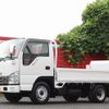 isuzu elf-truck 2008 GOO_NET_EXCHANGE_0505500A30240929W001 image 18