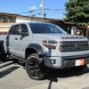 toyota tundra 2019 quick_quick_HUMEI_5TFDY5F11KX798140 image 1