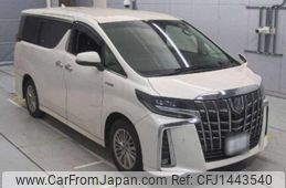 toyota alphard 2019 quick_quick_DAA-AYH30W_0080831