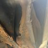 toyota hiace-van 2006 -TOYOTA--Hiace Van KR-KDH205V--KDH205-0029784---TOYOTA--Hiace Van KR-KDH205V--KDH205-0029784- image 15