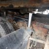 nissan big-thumb 2005 CFJ9543618 image 25