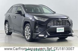 toyota rav4 2019 CFJ1813007