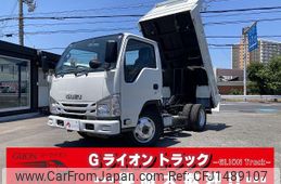 isuzu elf-truck 2019 GOO_NET_EXCHANGE_0730189A30250730W002