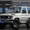 toyota landcruiser-70 1995 quick_quick_HZJ70_HZJ70-0001440 image 2