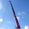 mitsubishi-fuso fighter 2024 CFJ0826470 image 28