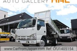 isuzu elf-truck 2008 GOO_NET_EXCHANGE_0708619A30250710W001