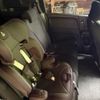 honda freed-spike 2011 -HONDA--Freed Spike DBA-GB3--GB3-1360541---HONDA--Freed Spike DBA-GB3--GB3-1360541- image 13