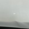 bmw x4 2020 CFJ8803445 image 21