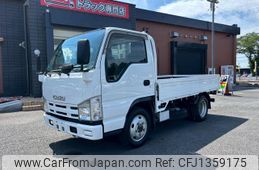 isuzu elf-truck 2009 GOO_NET_EXCHANGE_0401987A30250630W001