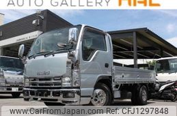 isuzu elf-truck 2007 GOO_NET_EXCHANGE_0708619A30250616W001