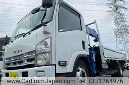 isuzu elf-truck 2009 GOO_NET_EXCHANGE_0500521A30250609W001