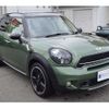 mini mini-others 2016 CFJ1830219 image 33
