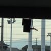 toyota alphard 2023 CFJ1767094 image 20
