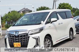 toyota alphard 2018 -TOYOTA--Alphard DAA-AYH30W--AYH30-0062576---TOYOTA--Alphard DAA-AYH30W--AYH30-0062576-