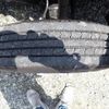 mitsubishi-fuso canter 2025 CFJ1364681 image 35