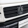 mercedes-benz g-class 2020 CFJ1644046 image 20