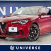 alfa-romeo stelvio 2019 CFJ1650601 image 1