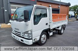 isuzu elf-truck 2019 GOO_NET_EXCHANGE_0401987A30250623W002