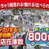 daihatsu move-canbus 2023 GOO_JP_700060017330230720006 image 31