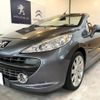 peugeot 207 2008 quick_quick_ABA-A7C5FW_VF3WB5FWF34180235 image 8