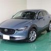 mazda cx-3 2022 -MAZDA 【浜松 999ｱ9999】--CX-30 3DA-DM8P--DM8P-204585---MAZDA 【浜松 999ｱ9999】--CX-30 3DA-DM8P--DM8P-204585- image 1