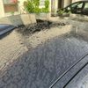 bmw 3-series 2013 CFJ1650875 image 12