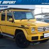 mercedes-benz g-class 2018 quick_quick_463348_WDB4633482X296818 image 16