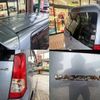 suzuki wagon-r 2010 -SUZUKI--Wagon R DBA-MH23S--MH23S-254831---SUZUKI--Wagon R DBA-MH23S--MH23S-254831- image 15